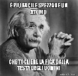 Robylol773